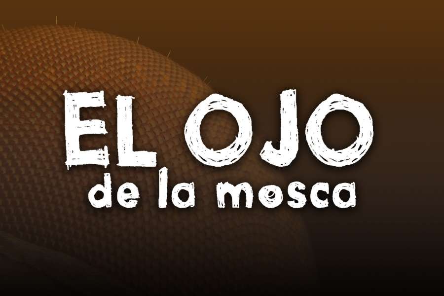 El ojo de la mosca