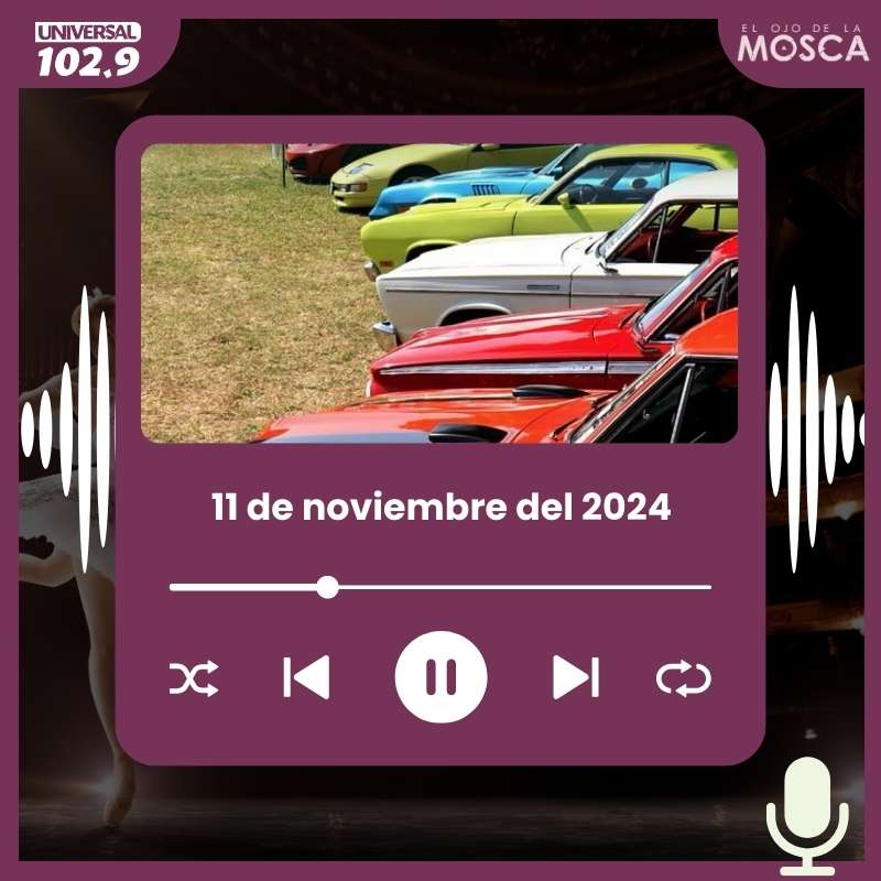 El Ojo de la Mosca – 11 de noviembre 2024