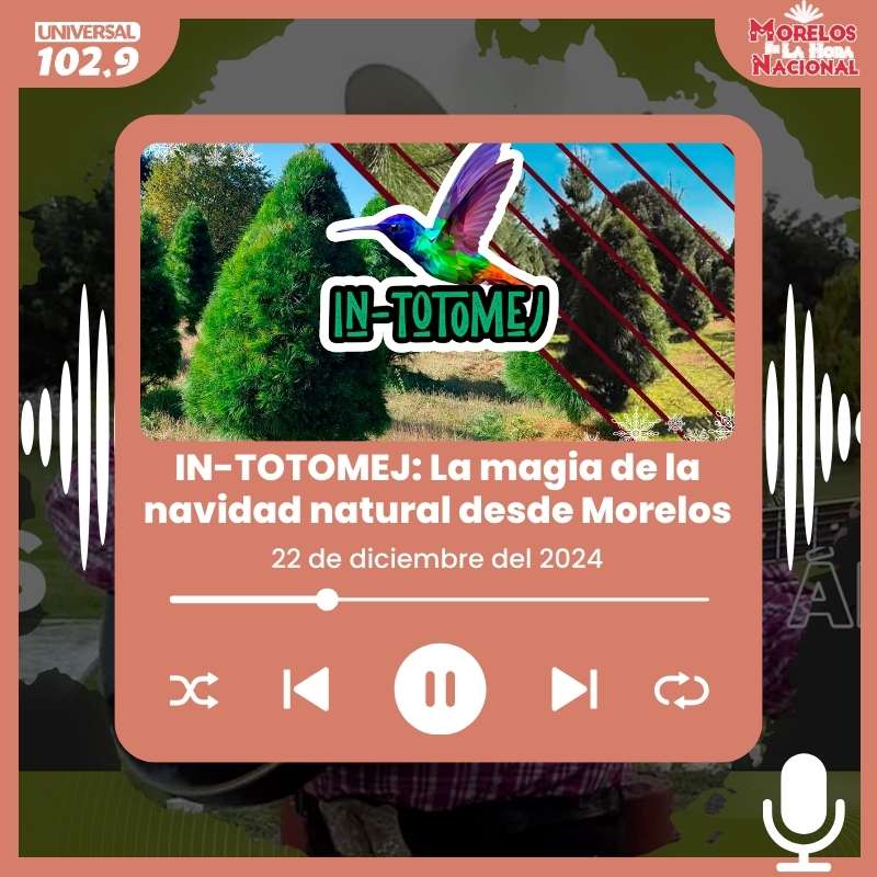 IN-TOTOMEJ: La magia de la Navidad natural desde Morelos – 22 de diciembre de 2024