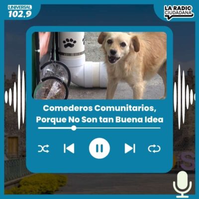 Comederos Comunitarios, Porque No Son tan Buena Idea – 08 de abril 2025