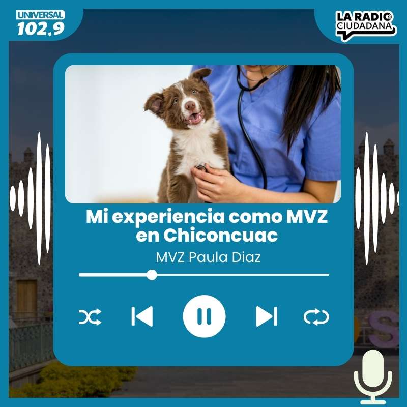 MVZ Paula Diaz – 06 de mayo de 2025