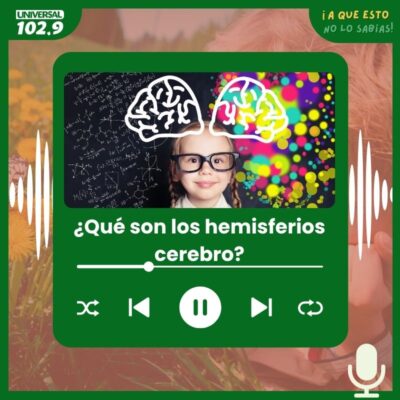 ¿Qué son los hemisferios cerebro?