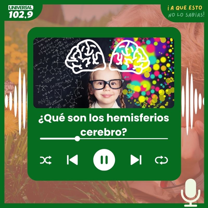 ¿Qué son los hemisferios cerebro?