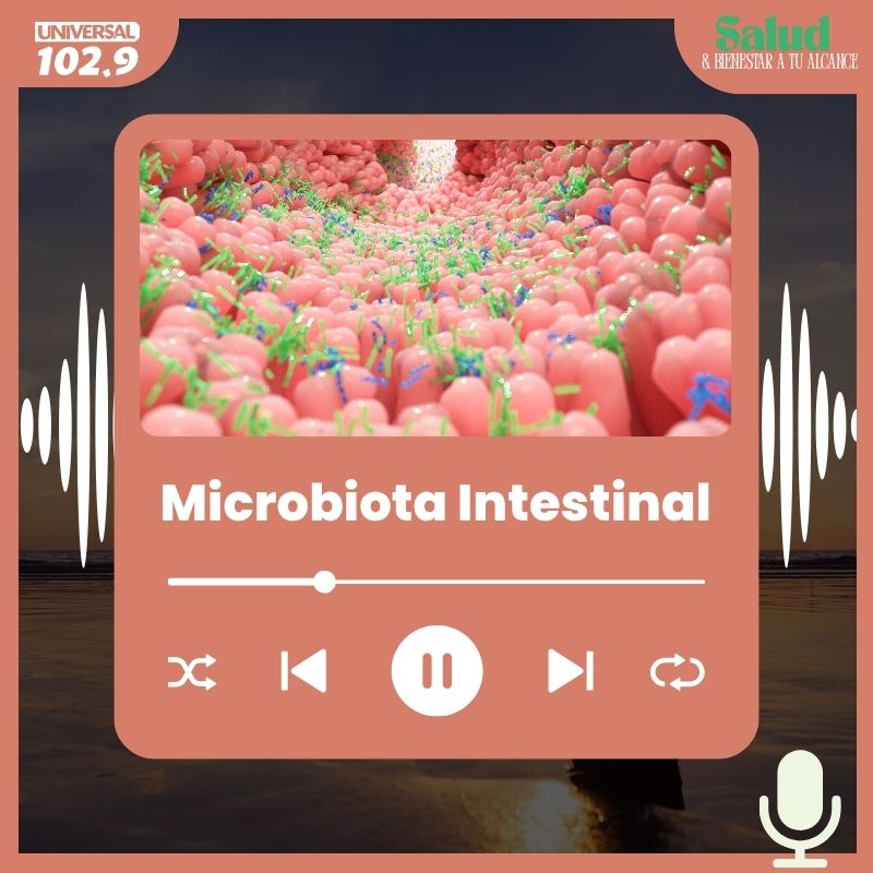 Microbiota intestinal
