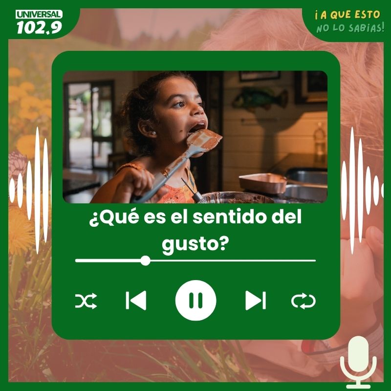 ¿Qué es el sentido del gusto?