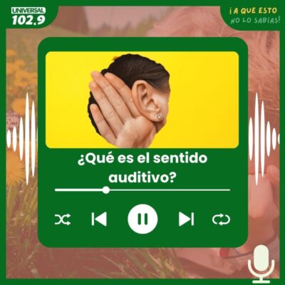 ¿Qué es el sentido auditivo?