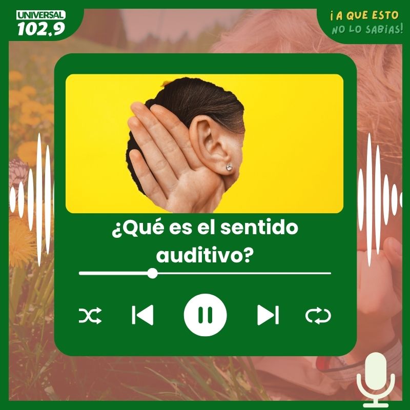 ¿Qué es el sentido auditivo?