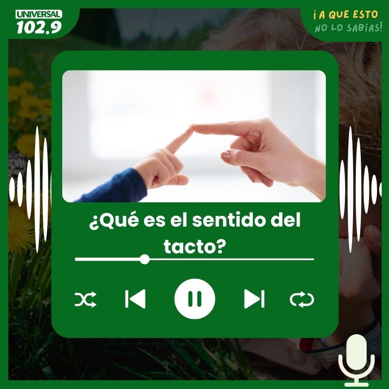 ¿Qué es el sentido del tacto?