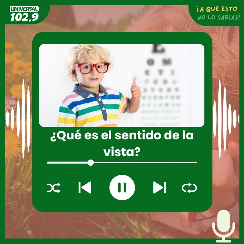 ¿Qué es el sentido de la vista?